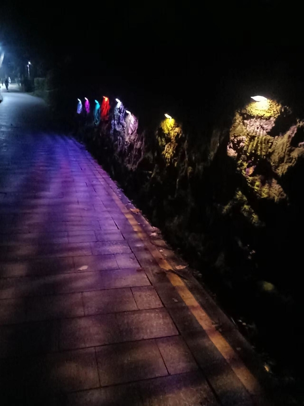 IP65 cerca solar Flood Lights For RGB al aire libre decorativo para el paisaje