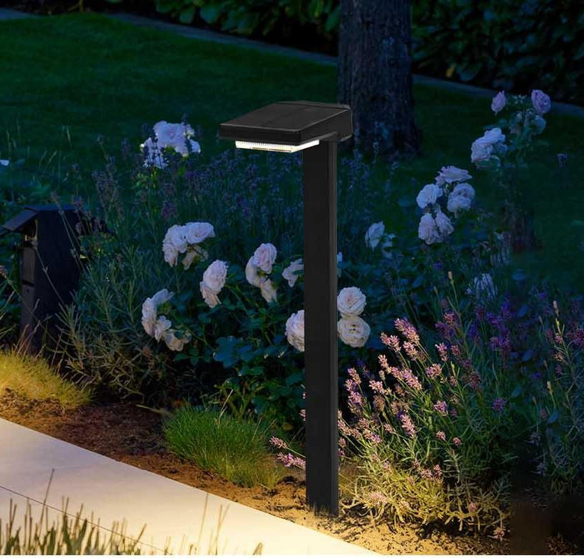 Lámparas de estaca LED de energía solar con encendido/apagado automático 6 Pcs LED IP65 resistente al agua
