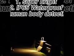 luces accionadas solares del sensor de movimiento del LED